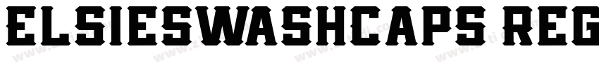 ElsieSwashCaps Regul字体转换